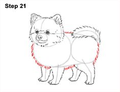 how to draw a dog step by step