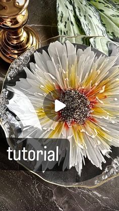 a flower sitting on top of a glass plate