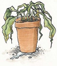 a drawing of a potted plant on the ground