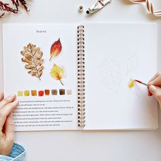 someone is drawing leaves on a book with colored pencils and watercolor paints in front of them