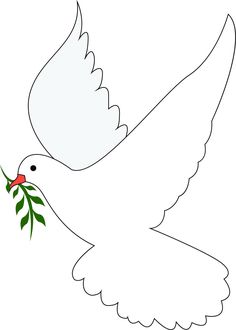 a white dove with an olive branch in its beak