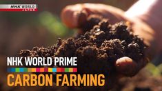 a person holding soil in their hands with the words ink world prime carbon farming