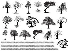 tree silhouettes are shown in black and white, each with different types of trees