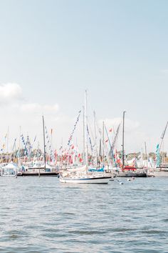 many sailboats in the water with flags on them