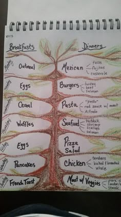 a drawing of a tree with the names of different types of trees in each section