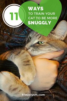 a person holding a cat with the caption 11 ways to train your cat to be more snuggly