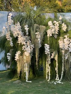 tall white flowers and greenery in front of a blue wall at an outdoor event