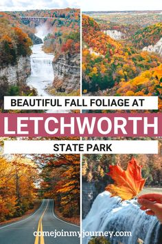 the beautiful fall foliage at letchworth state park in michigan with text overlay