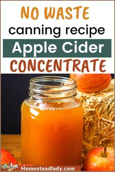 no waste canning recipe for apple cider concentrate