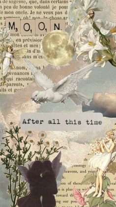 altered collage with fairy images and flowers in the foreground, text reads moon after all this time