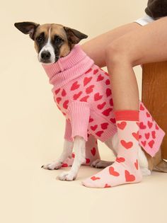 a small dog wearing a pink sweater with hearts on it's sleeves and leg