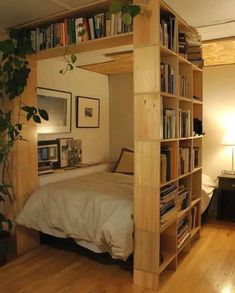 a bed with bookshelves on each side and a plant in the corner next to it