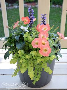 a potted plant sitting on top of a wooden table next to a white fence