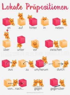 the german language is used to learn how to spell cats