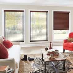 a living room filled with furniture and windows covered in blind shades that look like zebra print