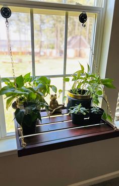 Unique Bridal Shower Gift | Bridal Shower Gift | Plant Stand | Hanging Window Shelf | Windowsill Plant Shelf | Hanging Plant Shelf | Hanging Window Plant Shelf | Suction Window Shelf | Plant Shelf | Hanging Plant Stand | Hanging Window Plant Stand | Wooden Plant Stand | Hanging Wooden Window Shelf | Indoor Plants  This hanging window shelf is handmade with quality wood and can be customized to fit your needs, making it the perfect unique housewarming gift! The recipient can use it for plants, kn Hanging Window Plant Shelf, Plant Shelf Window, Plant Window Sill, Window Sill Planter, Window Sill Shelf, Unique Bridal Shower Gift, Window Plant Shelf, Windowsill Plants, Red Mahogany Stain