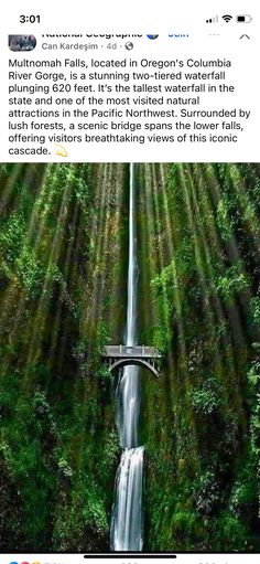 an image of a waterfall in the woods with sunlight streaming through it and people standing at the top