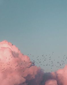 a flock of birds flying in the sky above some fluffy white clouds with pink and blue hues