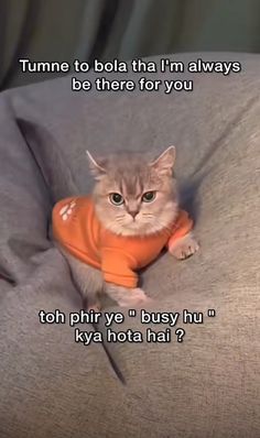 a cat wearing an orange shirt sitting on top of a couch with the caption tum to bla that i'm always be there for you