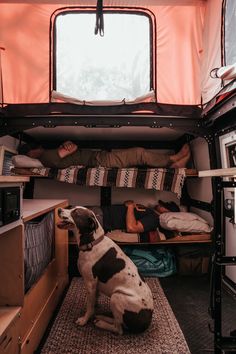 a dog is sitting in the back of a van with two people sleeping on it