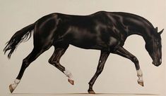 a painting of a black horse with white feet and tail, running in the wind