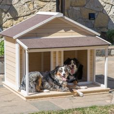 two dogs are sitting in a dog house