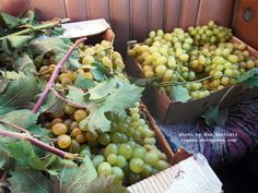 several boxes filled with grapes sitting on the ground