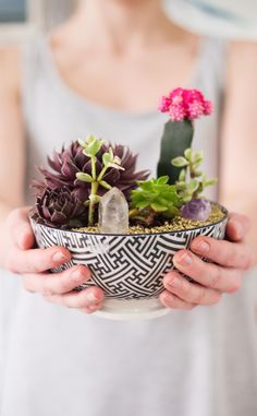 a woman holding a potted plant in her hands with the caption instagram