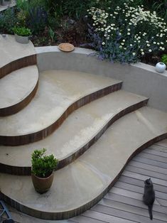 an outdoor area with steps and plants on the ground, including a bird standing next to it