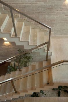 the stairs are made of wood and have glass railings