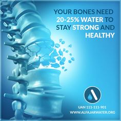 Staying hydrated is essential for overall bone health, preventing brittleness and fractures.   Regular water intake supports the body's ability to repair and build bone tissue.   Keep your bones strong and resilient—drink water every day!  UAN: 111-111-901 Email: sales@alfajarwater.org Visit: www.alfajarwater.org Bone Tissue, Keep Strong, Strong Bones, Staying Hydrated, Water Intake, Bone Health, Sport Water Bottle, Designs Ideas, Media Design