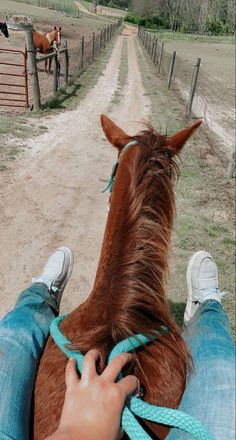 a person is petting a brown horse on the side of a dirt road with horses in the background