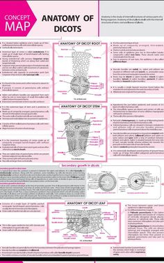 the anatomy of an animal's body and its functions