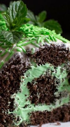 a piece of cake with green frosting and mint sprinkles on top