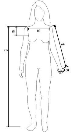 the size and height of a woman's body, with measurements for each side