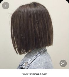 Bob Haircuts For Women Dark Hair, Bluntcut Bob Brown, Asian Hair Bob, One Length Bob, Dark Brown Bob, One Length Bobs, Short Dark Hair, Asian Short Hair