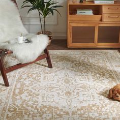 a dog laying on the floor in front of a chair with a rug next to it