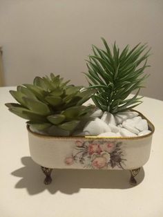 two succulents are in a white bowl with gold trim on a table