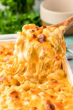 a spoon full of macaroni and cheese being lifted from a casserole dish