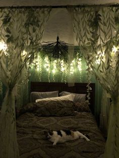 a cat laying on top of a bed under a canopy with lights in the background