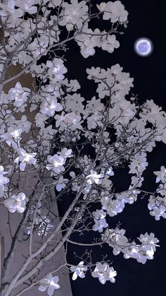 a tree with white flowers in front of a building at night time and the moon above it