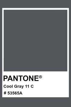 PANTONE Cool Gray 11 C #pantone #color #PMS #hex Color Swatch, Colour Schemes, Color Collection, Color Pallets