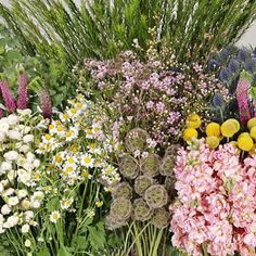 a bunch of flowers that are sitting on the ground in front of some grass and flowers