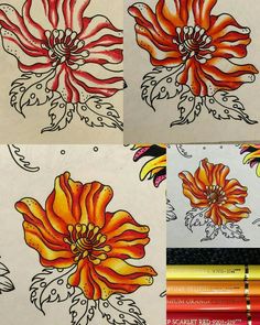 four different pictures of flowers on paper with colored pencils