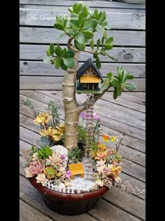 a potted plant with flowers and a birdhouse on it's tree stump