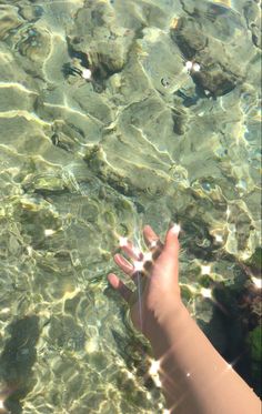 a person's hand reaching for something in the water with rocks and algae on it