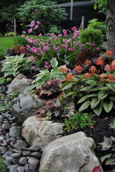 a garden with rocks and flowers in the foreground, trees on the other side