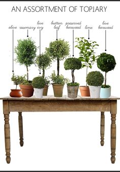 an assortment of topiary plants on a table with the words, an assortment of topiary