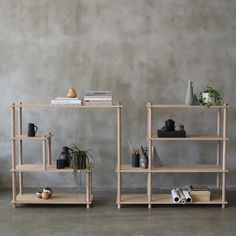 two shelvings with plants and books on them in front of a concrete wall