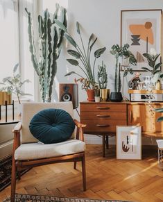 a living room filled with lots of plants next to a wooden dresser and chair on top of a hard wood floor